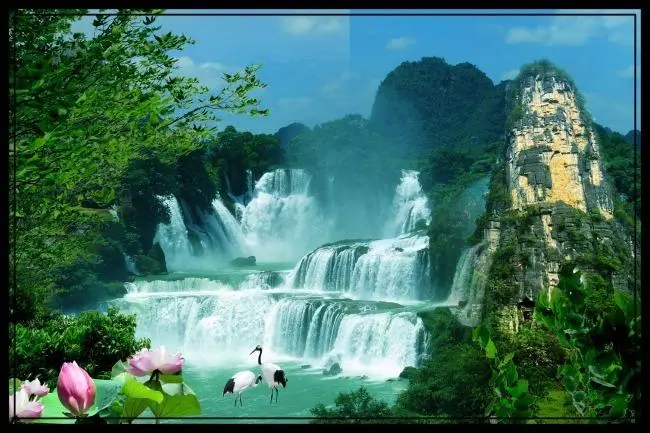 全自动创新